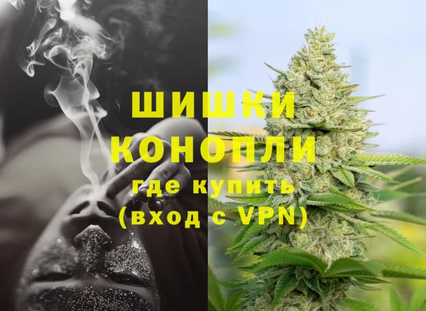 винт Няндома