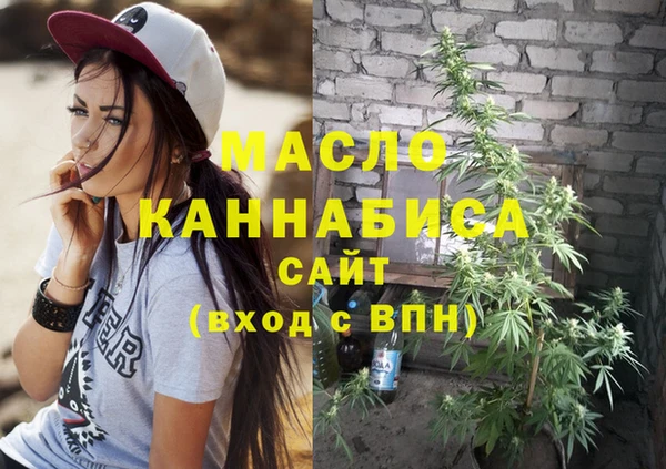 тгк Галич
