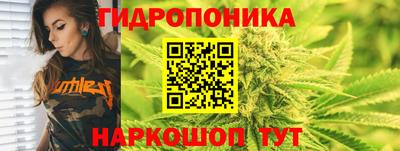 эйфоретик Заволжье
