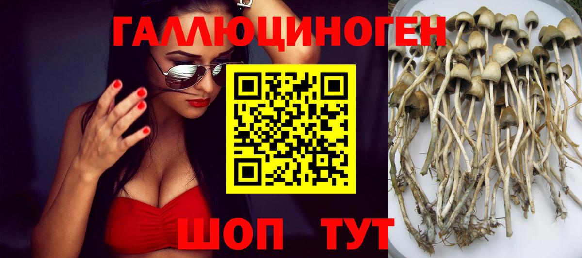 Псилоцибиновые грибы ЛСД Кувандык
