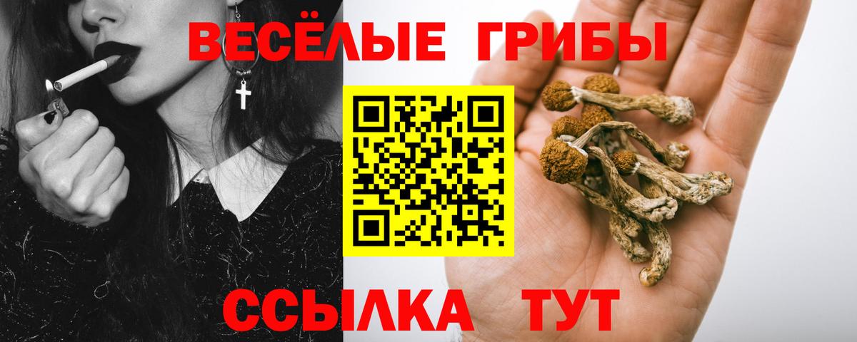Галлюциногенные грибы Cubensis  Вход с VPN  Кувандык 